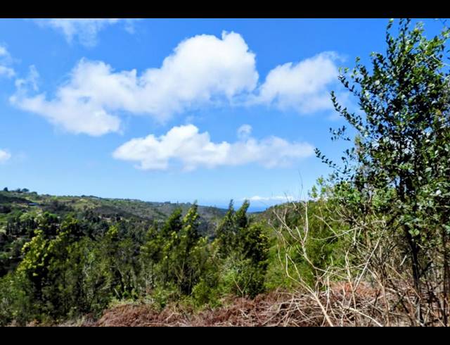 LAND FOR SALE IN HOEKWIL